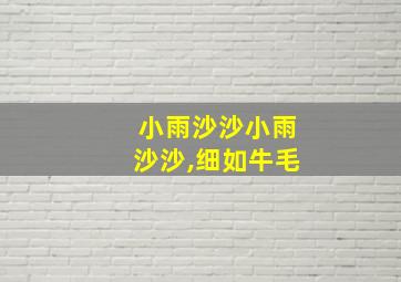 小雨沙沙小雨沙沙,细如牛毛