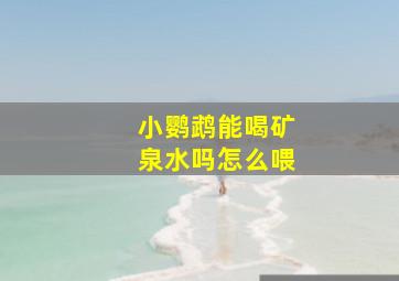 小鹦鹉能喝矿泉水吗怎么喂