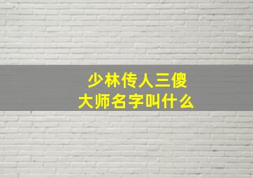 少林传人三傻大师名字叫什么