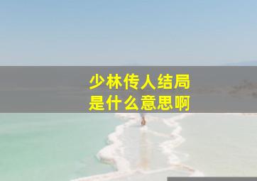 少林传人结局是什么意思啊