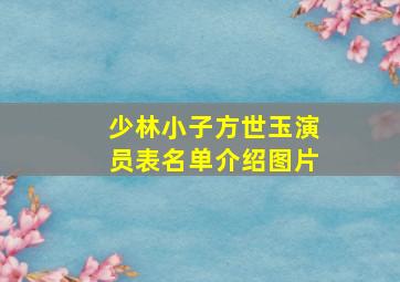 少林小子方世玉演员表名单介绍图片