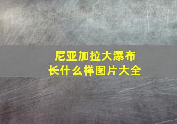 尼亚加拉大瀑布长什么样图片大全