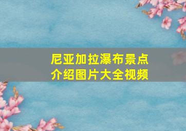 尼亚加拉瀑布景点介绍图片大全视频