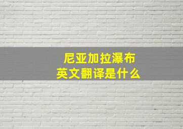 尼亚加拉瀑布英文翻译是什么