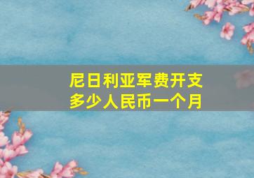 尼日利亚军费开支多少人民币一个月