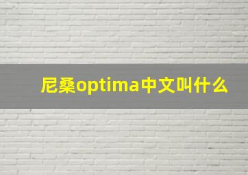 尼桑optima中文叫什么