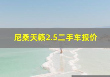 尼桑天籁2.5二手车报价