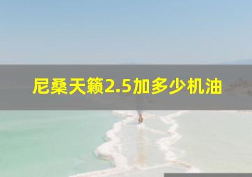 尼桑天籁2.5加多少机油