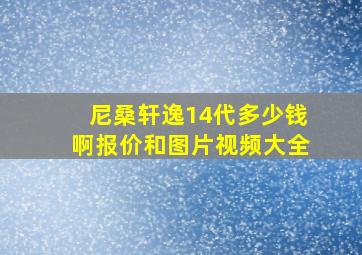 尼桑轩逸14代多少钱啊报价和图片视频大全