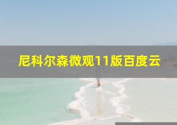 尼科尔森微观11版百度云