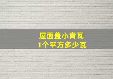 屋面盖小青瓦1个平方多少瓦