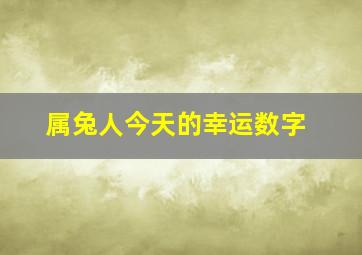 属兔人今天的幸运数字