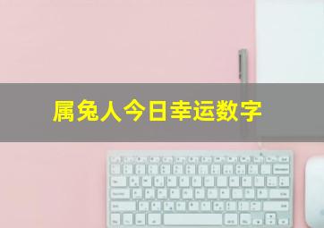 属兔人今日幸运数字