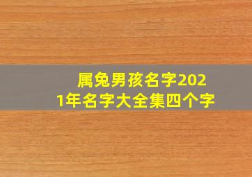 属兔男孩名字2021年名字大全集四个字