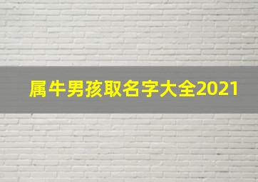 属牛男孩取名字大全2021