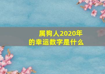 属狗人2020年的幸运数字是什么