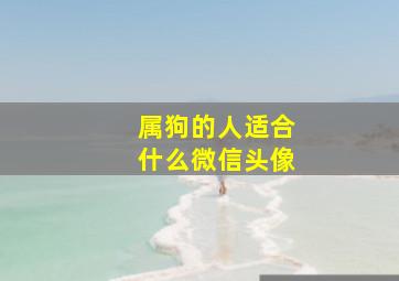 属狗的人适合什么微信头像