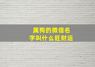 属狗的微信名字叫什么旺财运