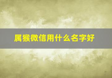 属猴微信用什么名字好