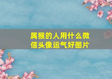 属猴的人用什么微信头像运气好图片