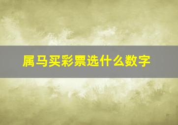 属马买彩票选什么数字