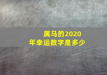 属马的2020年幸运数字是多少