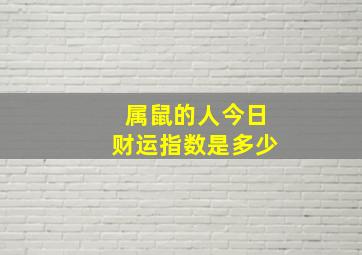 属鼠的人今日财运指数是多少