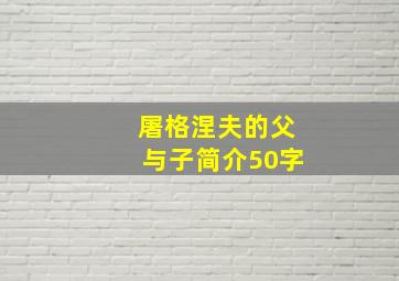 屠格涅夫的父与子简介50字