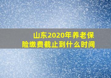 山东2020年养老保险缴费截止到什么时间