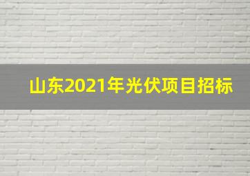 山东2021年光伏项目招标