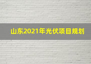 山东2021年光伏项目规划