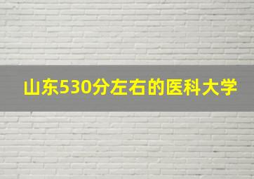 山东530分左右的医科大学