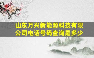 山东万兴新能源科技有限公司电话号码查询是多少