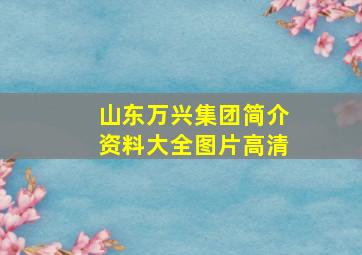 山东万兴集团简介资料大全图片高清