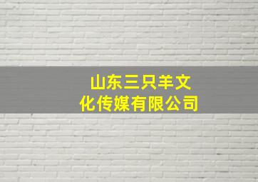 山东三只羊文化传媒有限公司