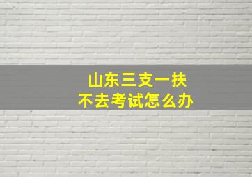 山东三支一扶不去考试怎么办