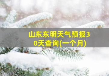 山东东明天气预报30天查询(一个月)