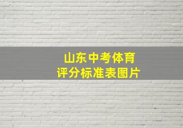 山东中考体育评分标准表图片