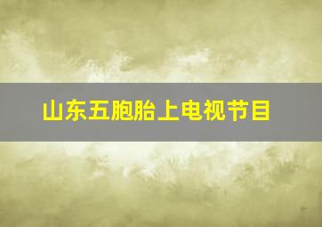 山东五胞胎上电视节目