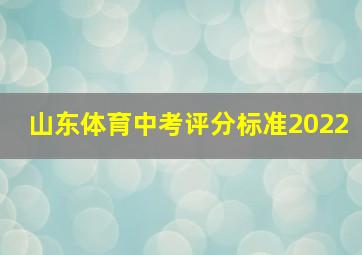 山东体育中考评分标准2022