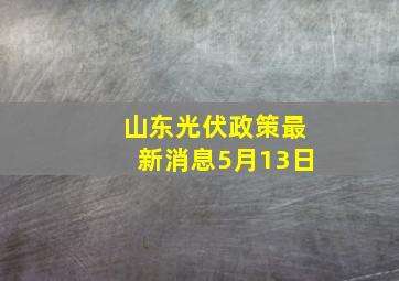 山东光伏政策最新消息5月13日