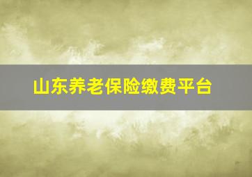 山东养老保险缴费平台