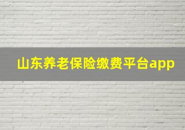 山东养老保险缴费平台app