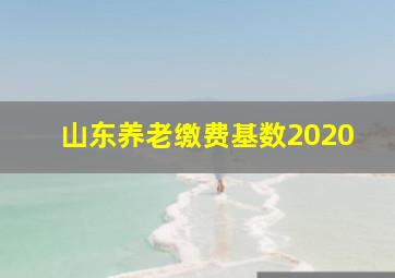 山东养老缴费基数2020