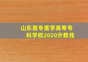 山东医专医学高等专科学校2020分数线