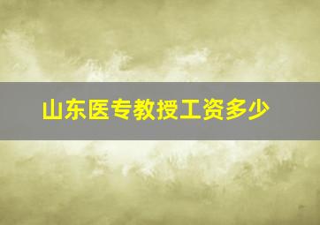 山东医专教授工资多少