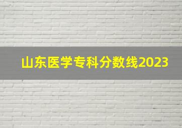 山东医学专科分数线2023