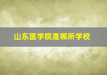 山东医学院是哪所学校