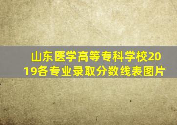 山东医学高等专科学校2019各专业录取分数线表图片