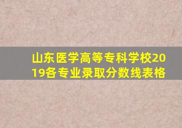 山东医学高等专科学校2019各专业录取分数线表格